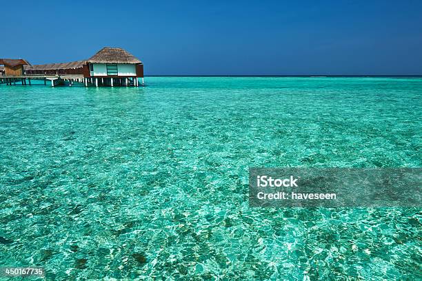 Beautiful Beach With Water Bungalows Stock Photo - Download Image Now - Beach, Blue, Bungalow