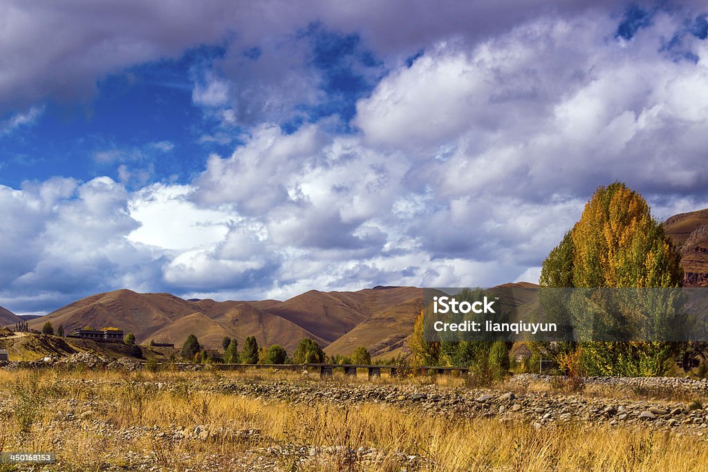 autumn of grassland the fall of grassland in sichuan province in china Agriculture Stock Photo