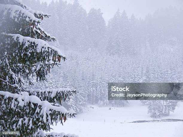Zima Śnieg Drzewa - zdjęcia stockowe i więcej obrazów Alpy - Alpy, Alpy Szwajcarskie, Biały