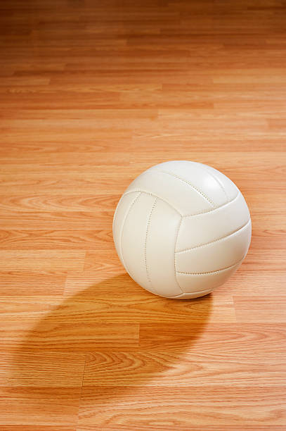 istock Volleyball on Hardwood Court 450210807