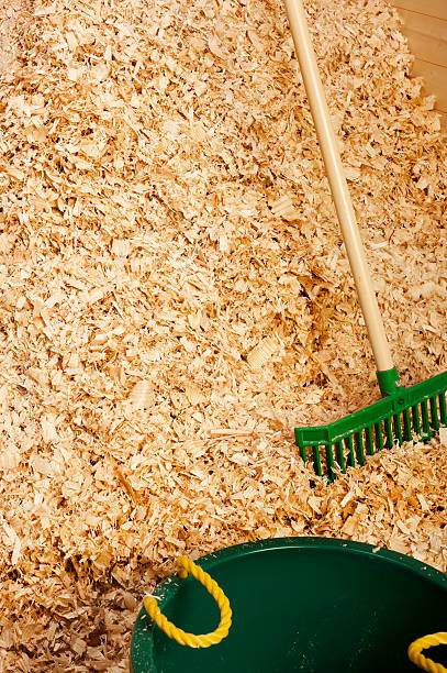 istock Pile  Bulk Wood Shavings for Horse Bedding 450210923