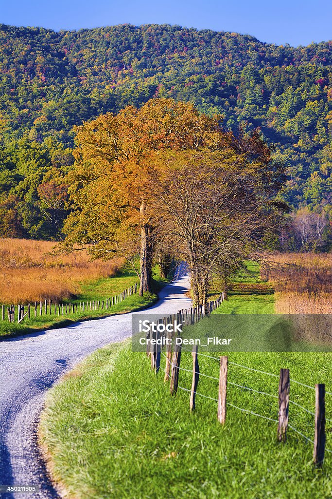 Late Afternoon on Hyatt Lane Late afternoon on a winding country road in Cade's Cove, Great Smoky Mountains National Park Cades Cove Stock Photo