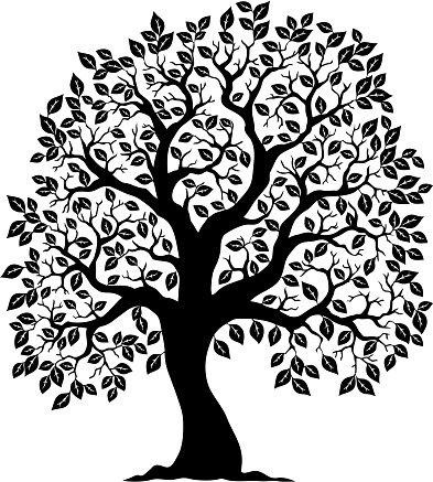 Tree shaped silhouette 3 - vector illustration.