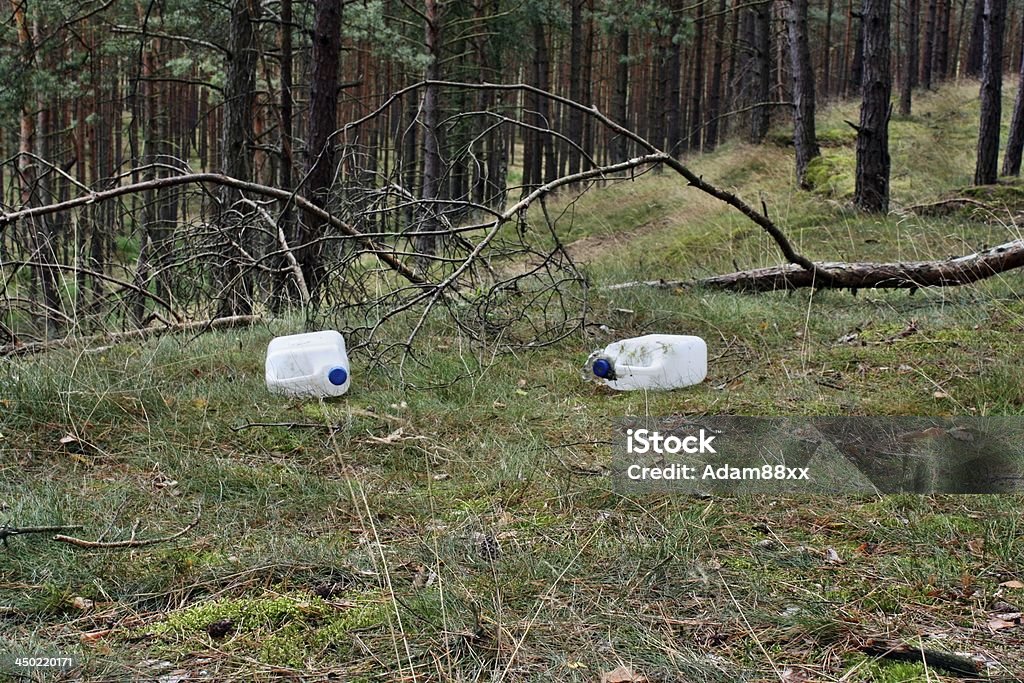 Wild dump Wild dump in the forest Abandoned Stock Photo