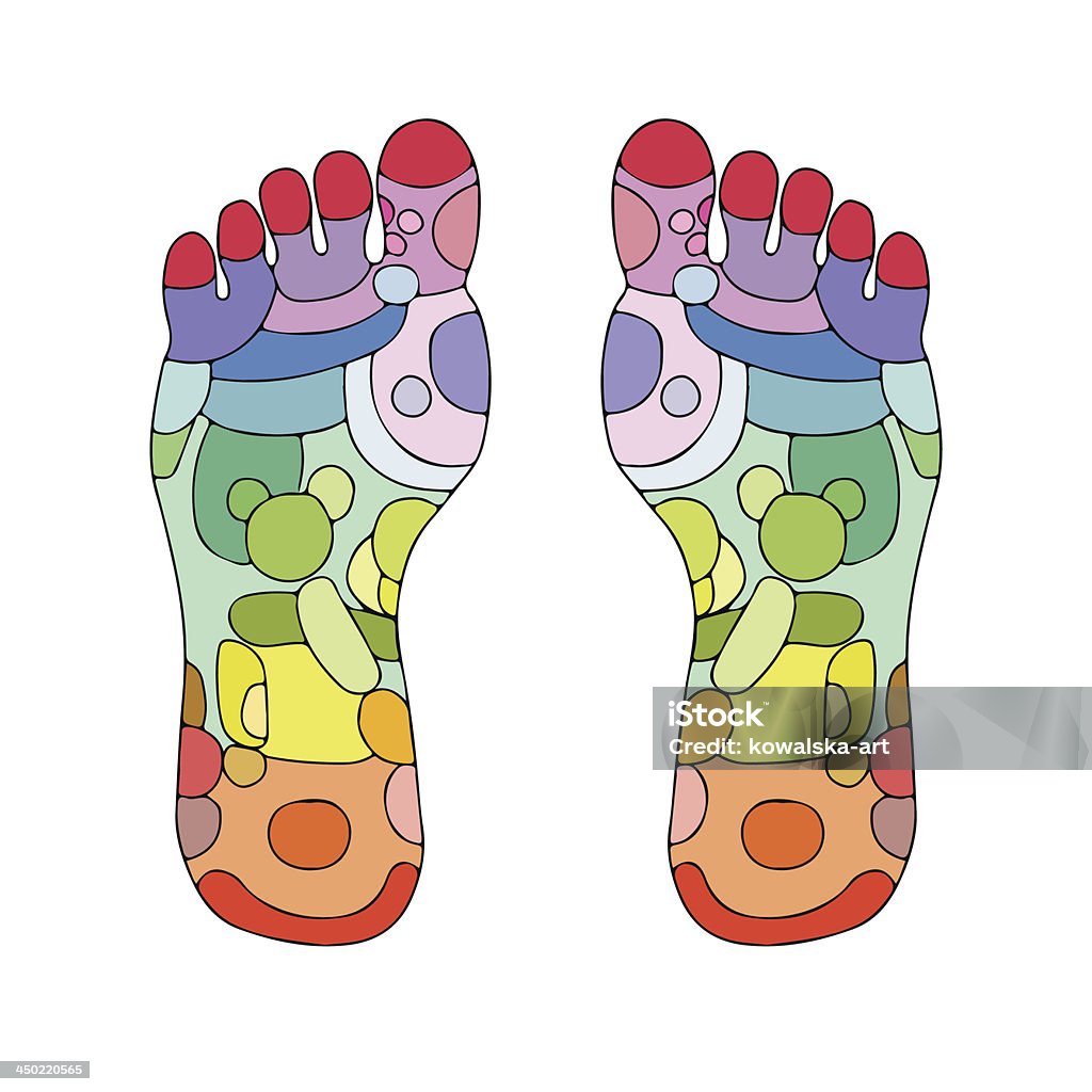 Reflexología puntos de masajes para pies - arte vectorial de Reflexoterapia libre de derechos
