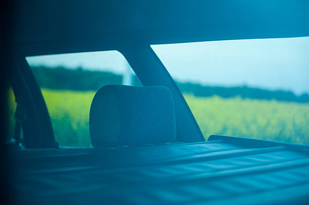 istock red car stands next to the field 450221399