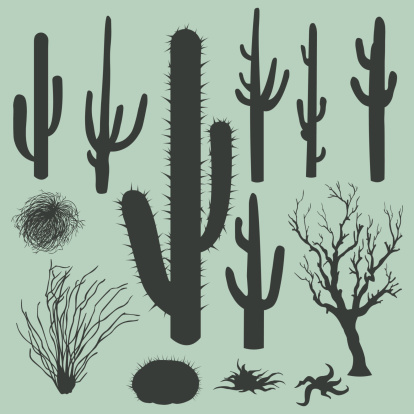 vector set of Silhouettes cacti and other desert plants
