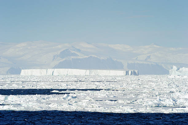 icebergue - climate change south pole antarctica imagens e fotografias de stock