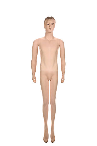 istock Close up of mannequin male. 450228905