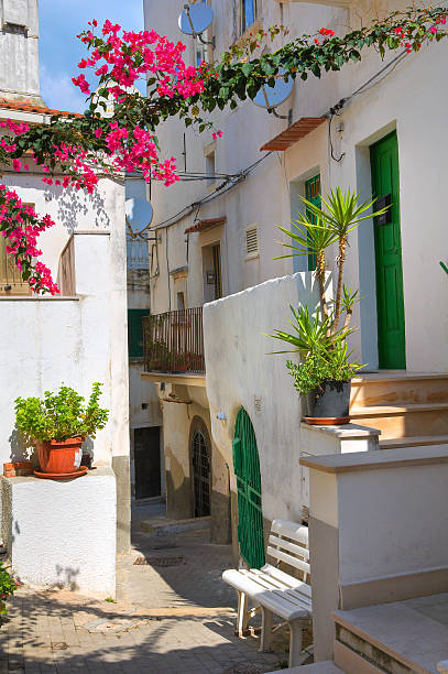 istock Alleyway. Rodi Garganico. Puglia. Italy. 450231449