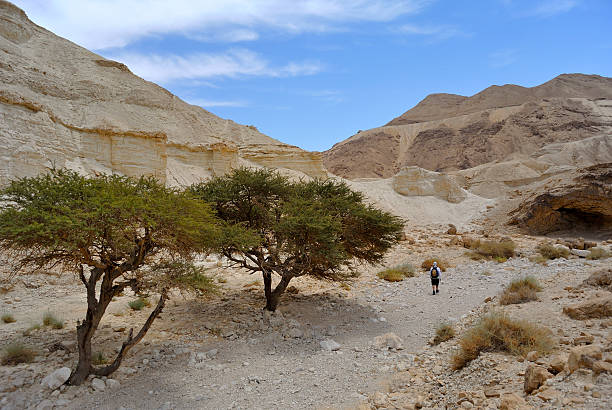 Hiking in Zohar gorge near Dead sea in Israel.