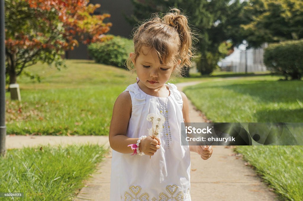 Cute baby girl is blowing a dandelion 2-3 Years Stock Photo