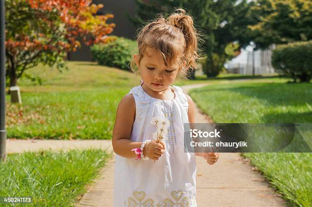 Cute Baby Girl Is Blowing A Dandelion Stock Photo - Download Image Now - 2-3 Years, Beauty In Nature, Blowing