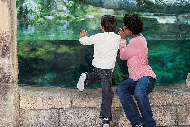 istock Mother and son at the zoo 450241391