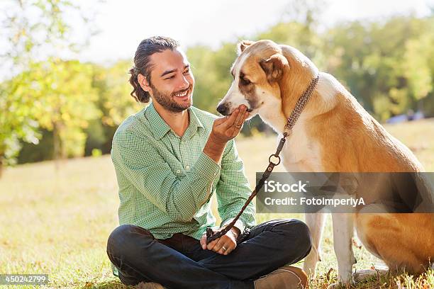 Man And Central Asian Shepherd Walk In The Park Stock Photo - Download Image Now - Activity, Adult, Affectionate