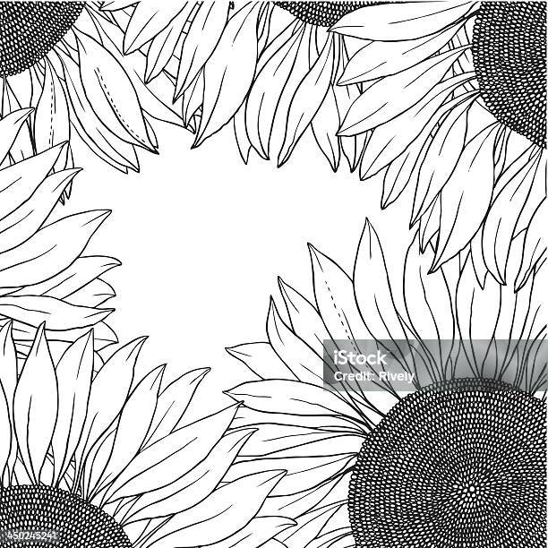 Moldura De Vector Sunflowers - Arte vetorial de stock e mais imagens de Girassol - Girassol, Preto e Branco, Abstrato