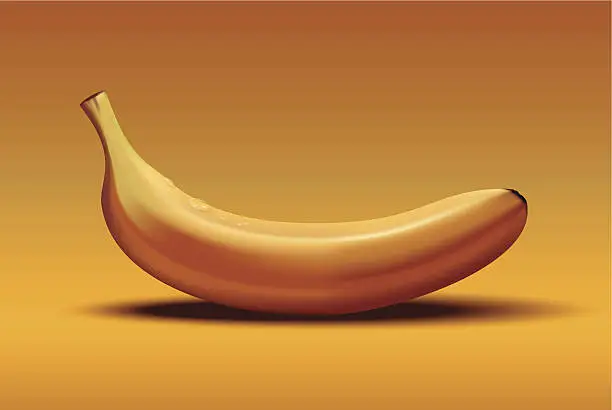 Vector illustration of Banane_Banana