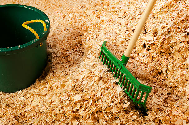 istock Pile  Bulk Wood Shavings for Horse Bedding 450246055