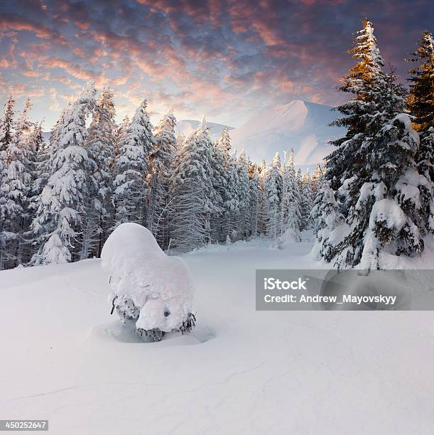 Beautiful Winter Landscape In The Mountains Stock Photo - Download Image Now - Adventure, Beauty In Nature, Christmas