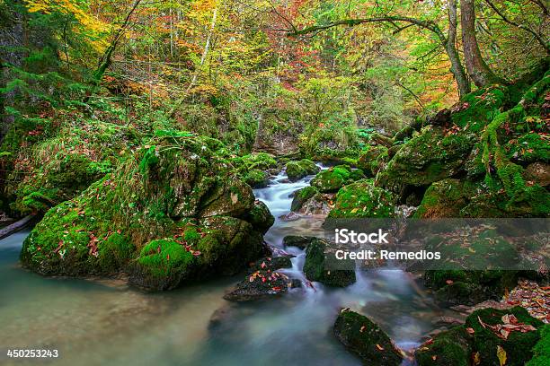 Zatoczka Głęboko W Górach - zdjęcia stockowe i więcej obrazów Bez ludzi - Bez ludzi, Chlapać, Drzewo