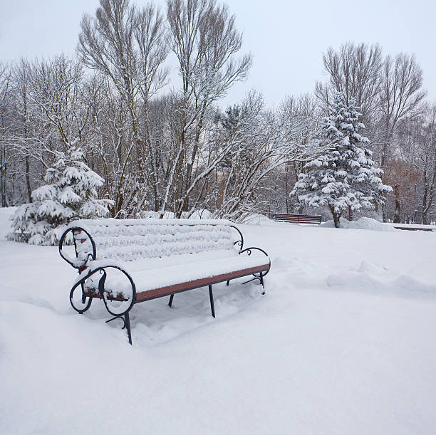 istock Snow-covered landscape in the city park 450260337