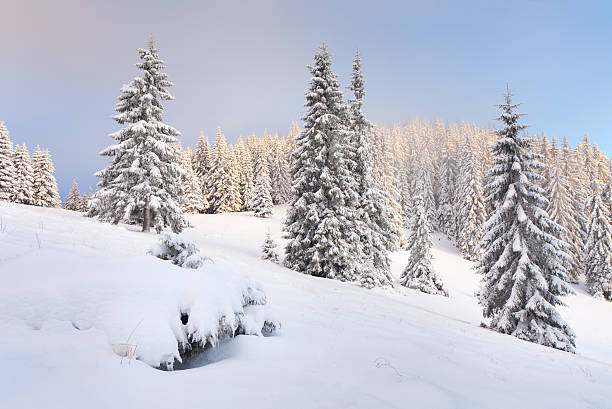 istock .Beautiful winter morning in the mountain 450262827