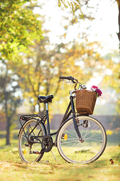 istock Woman’s bike with basket and flowers 450263059