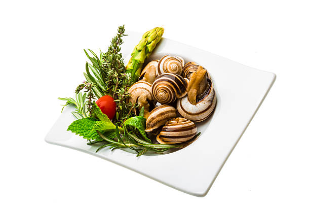 istock Escargot with asparagus, rosemary, thymus and tomato 450263457