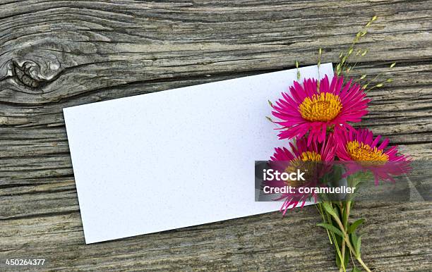 Pink Flowers Stock Photo - Download Image Now - Aster, Autumn, Beauty