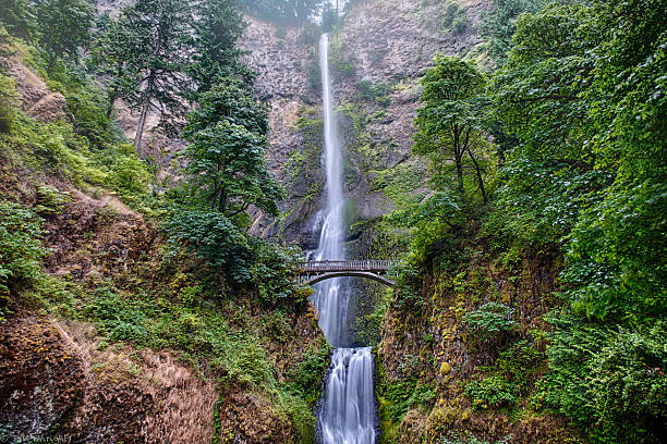 istock Early Morning at Multnomah Falls 450265423
