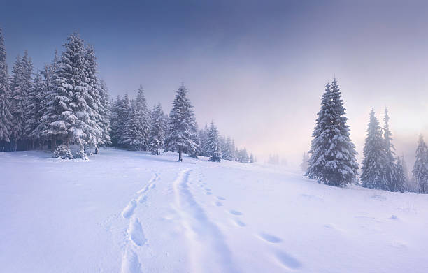 istock Foggy winter morning in the mountains 450270379