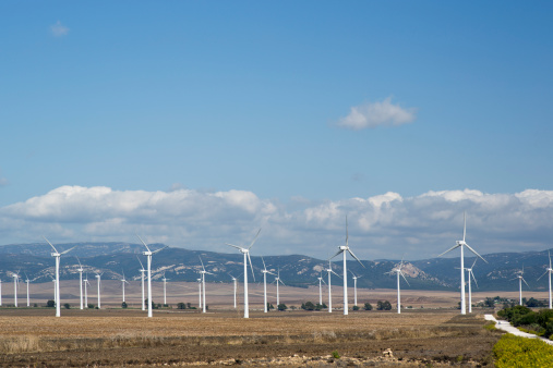 wind turbines in a field in tarifa, southern spain