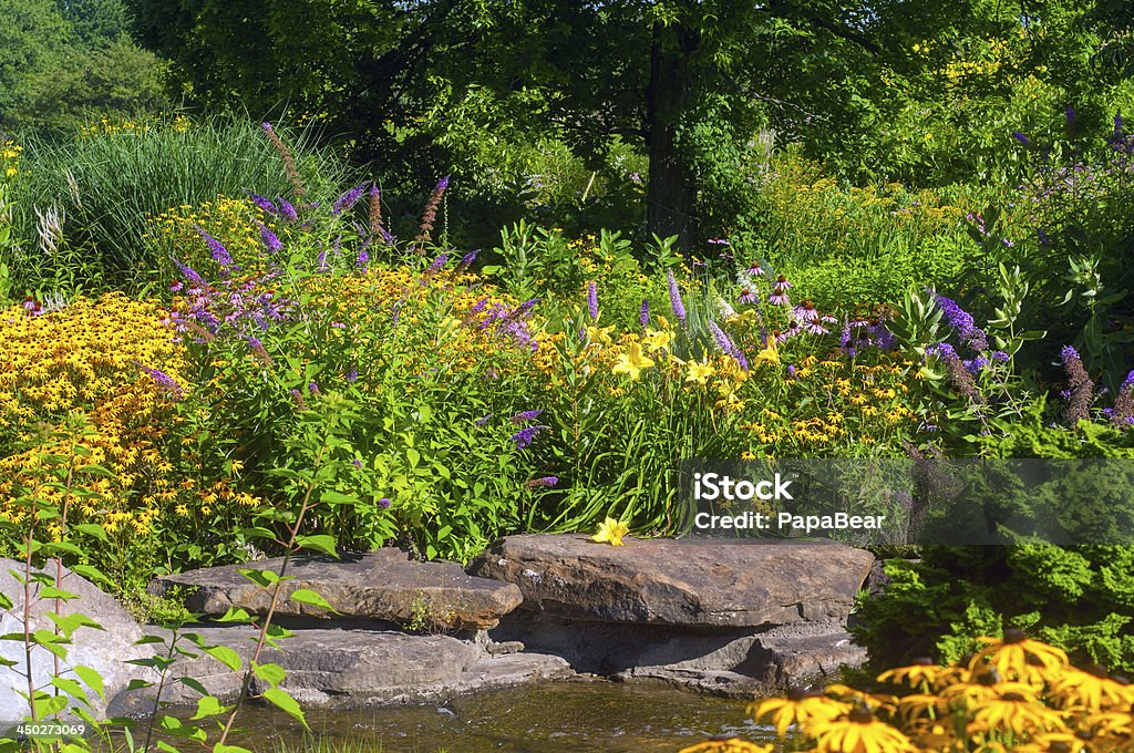 Butterfly garden Butterfly garden with cutleaf coneflowers and butterfly bush and water decor Butterfly Garden Stock Photo
