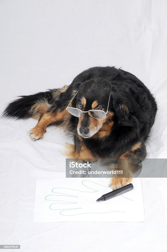 Desenho de Cachorro - Foto de stock de Adulto royalty-free