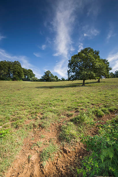 countryside stock photo