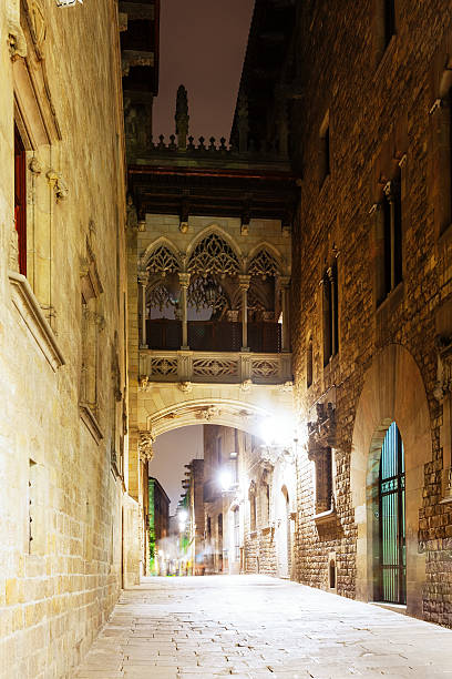 istock night view of  Barrio Gotico 450290657