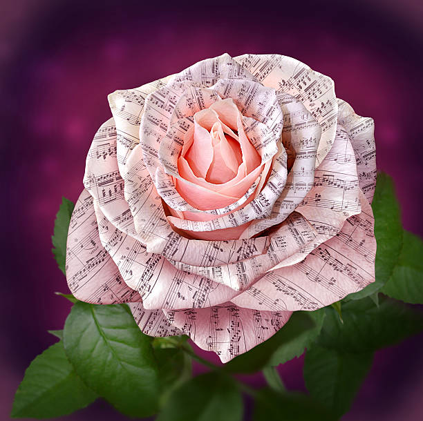 istock Beautiful pink rose with note on the petals 450292399