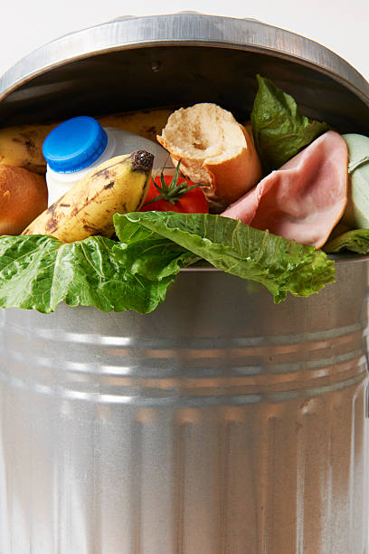 istock Fresh Food In Garbage Can To Illustrate Waste 450300605