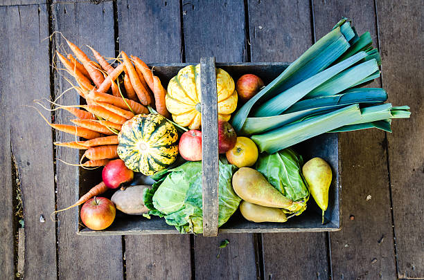 istock Basket Of Vegetables On Wood Background 450300635