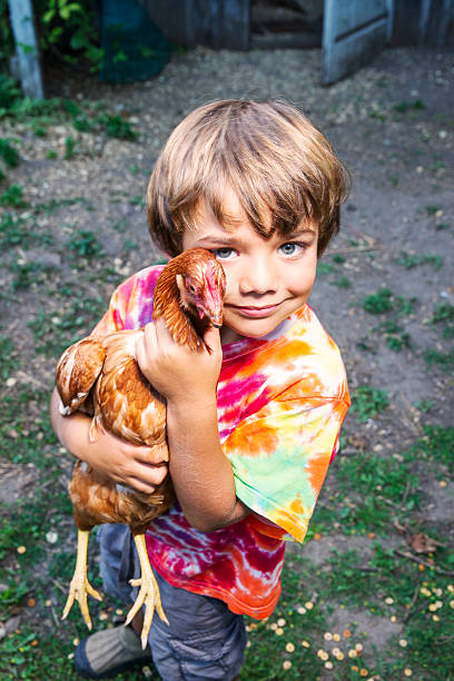 istock Little boy with his pet laying hen 450301101