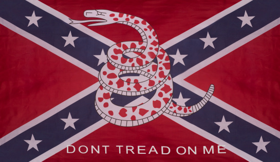 Don't tread on me Rebel Confederate Gadsden Flag