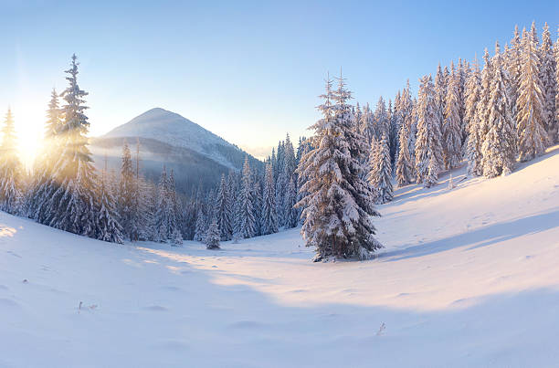 istock Beautiful winter landscape in the mountains. Sunrise 450309521