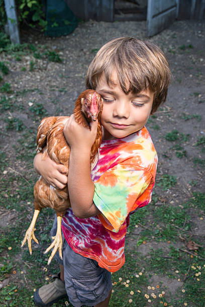 istock Little boy hugging his pet chicken 450311043