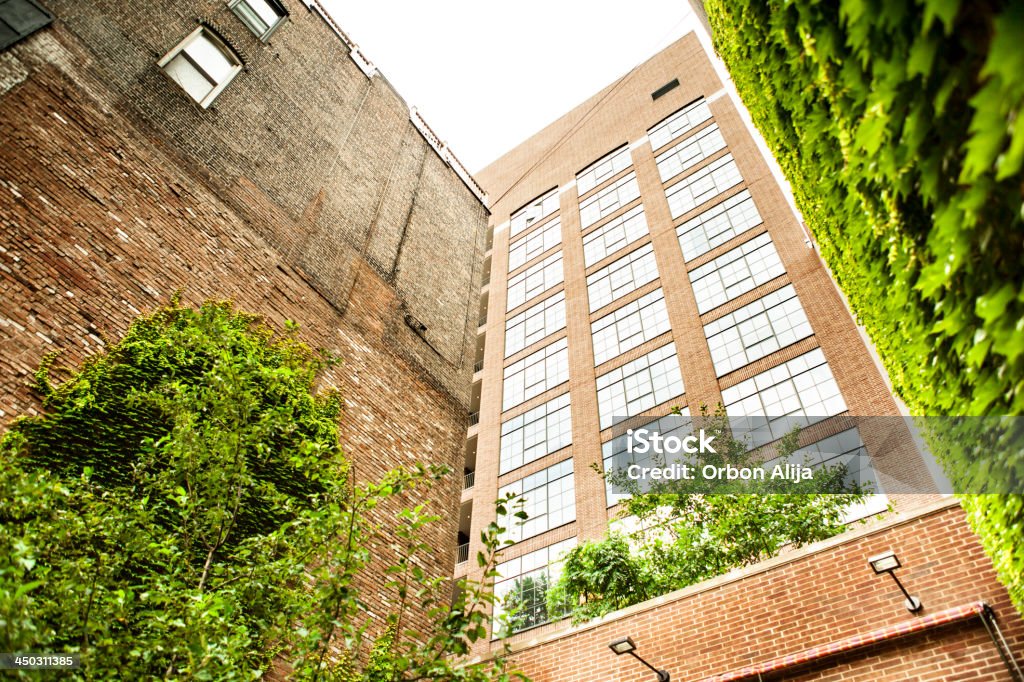 Plantas de escalada em um edifício de tijolos - Foto de stock de Arenito castanho-avermelhado royalty-free