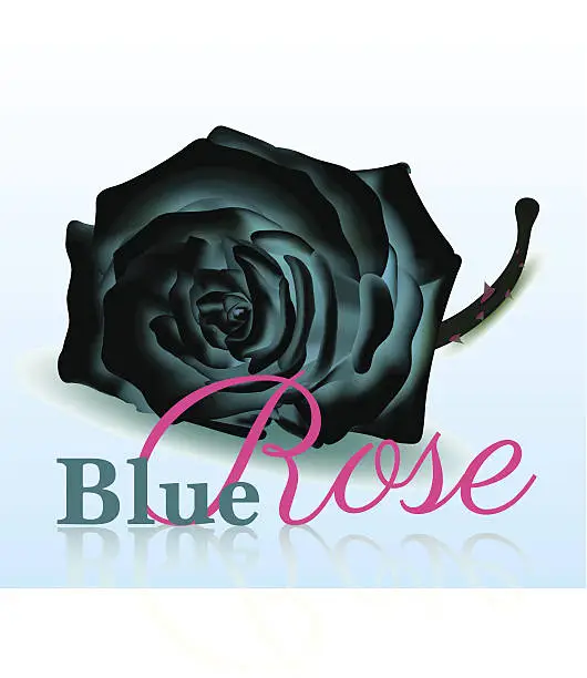 Vector illustration of Blue Rose On white Background with Text