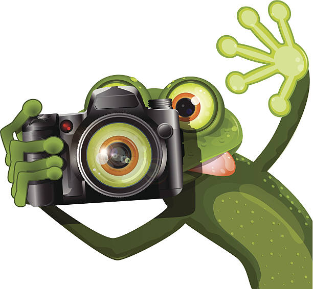 ilustrações, clipart, desenhos animados e ícones de sapo com uma câmera - frog sideways glance humor desire