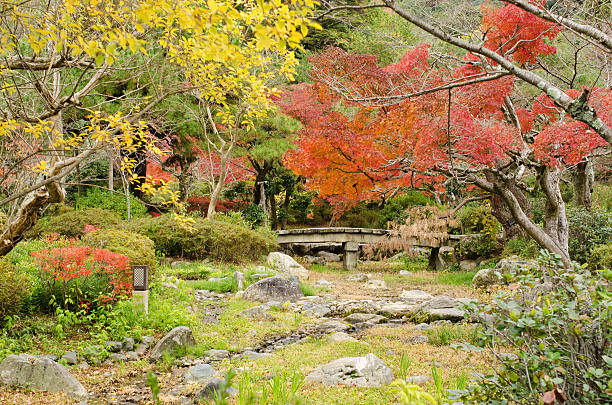 istock Japanese park in autumn 450339825