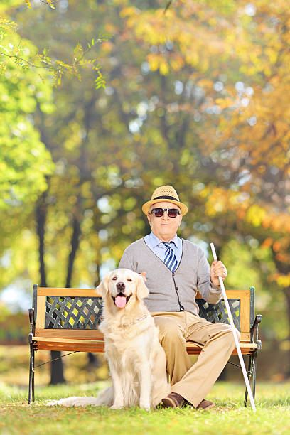 istock Senior blind man sitting on bench with his dog 450360839