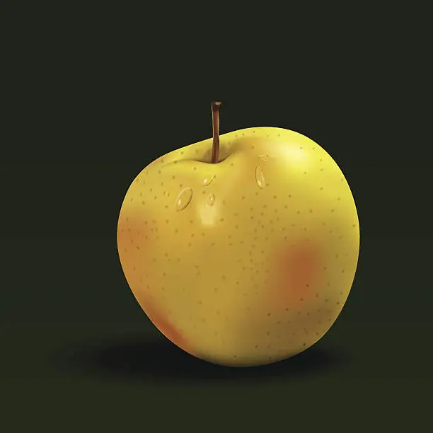 Vector illustration of Pomme_Apple