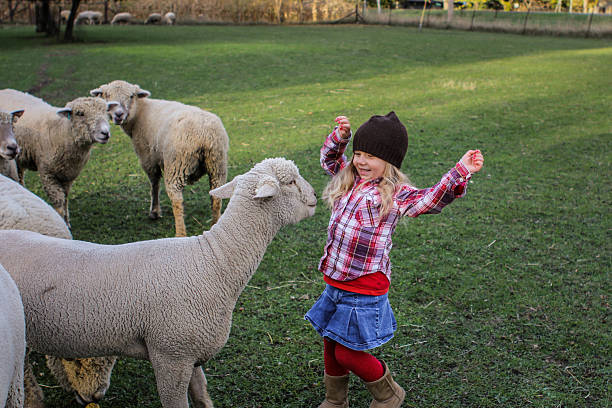istock Little girl and sheep 450361287